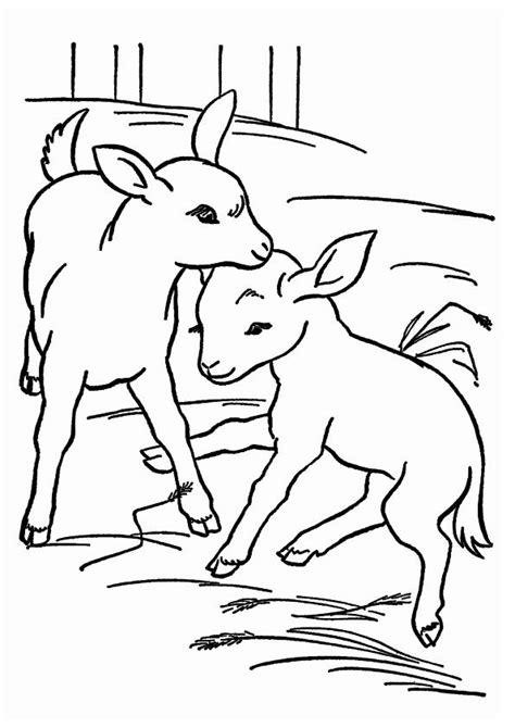 Free printable coloring pages and book for kids. Free Printable Goat Coloring Pages, Goat Coloring Pictures ...