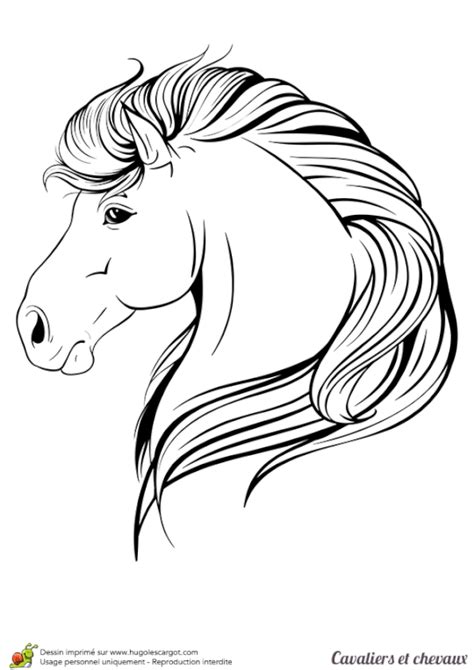 Photos et images libres de droits pour tete cheval dessin à télécharger. Coloriage cavaliers et chevaux tete cheval | Tete de cheval dessin, Coloriage cheval, Dessin tete