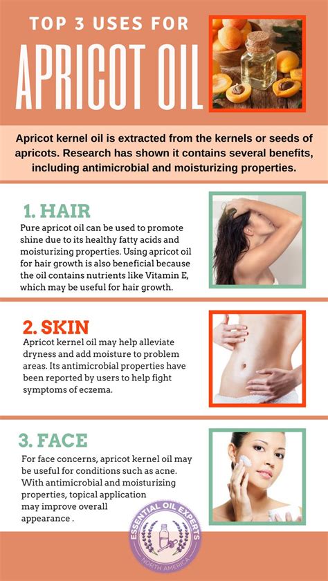 A hair oil massage once a week is extremely important to your hair health. Apricot Oil: Benefits for Hair, Skin, Face, and Where to ...