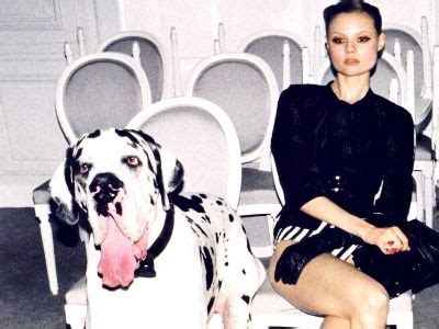 7 Pets That Are Easy to Take Care of ... | Great dane, Big ...