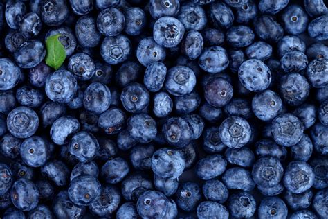 Entdecke rezepte, einrichtungsideen, stilinterpretationen und andere ideen zum ausprobieren. Fructus Myrtilli - Blueberry - Myrtilles - Kokerr Boronice ...