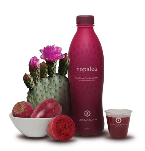 Prickly pear cactus (opuntia species) has value as a landscaping plant and livestock feed supplement. Nopalea Review - New TriVita Super Star Product » Nopalea ...