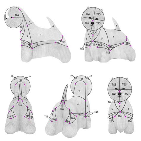 We did not find results for: Resultado de imagem para dog grooming guide | Peluquería ...