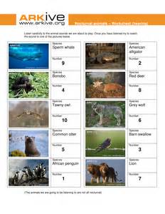When you take a little wander, you might begin to wonder about all the sounds that surround you. Nocturnal Animals by ARKive - UK Teaching Resources - TES
