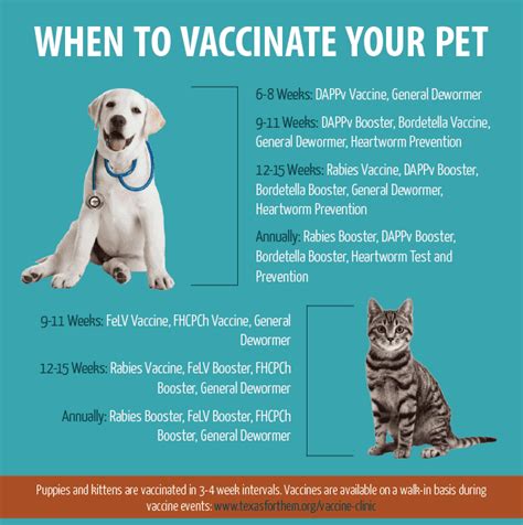 Vaccination is important for preventing serious diseases from affecting your dog. PET DOGS/CATS, WHAT VACCINE YOU SHOULD GIVE?