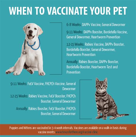 Puppy shots don't last for life! PET DOGS/CATS, WHAT VACCINE YOU SHOULD GIVE?