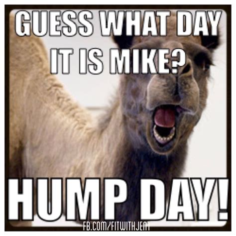 Hump day camel with makeup pictures, photos, and images for facebook. 50 Beautiful Hump Day Wish Pictures And Images