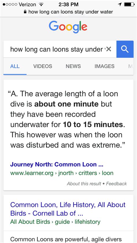 When sleeping, dolphins often rest motionless at the surface of the water, breathing regularly or they may swim very slowly and steadily, close to the surface. How Long Can a Loon Hold its Breath? - the4pointer.com ...