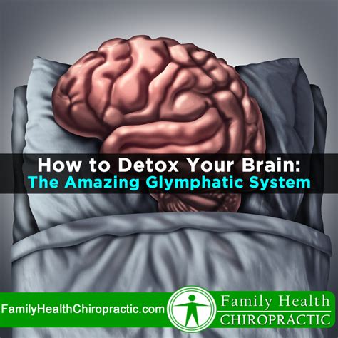 Important at #latesthotnewsheadlines i'm building a good interfaith online heavenly parent's church #messagetobillions at www.ivacademy.net and have this. How To Clean & Detox Your Brain: The Amazing Glymphatic ...