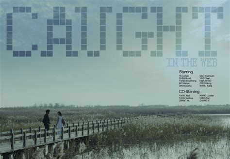 Friday Download: Caught in the Web