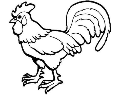 Mempelajari dan mewarnai gambar ayam terkadang tidak cukup membantumu bisa membuat gambar ini. Mewarnai Ayam Bertelur