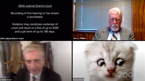 Wed 10 feb 2021 10.44 est. Turns Out The 'Zoom Cat Lawyer' Guy Is Pretty Problematic ...