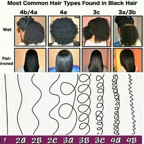 This wavy hair has a coarser texture and it easily frizzes, which can be remedied with frizz control. Most common hair types in black hair | Natural hair types ...