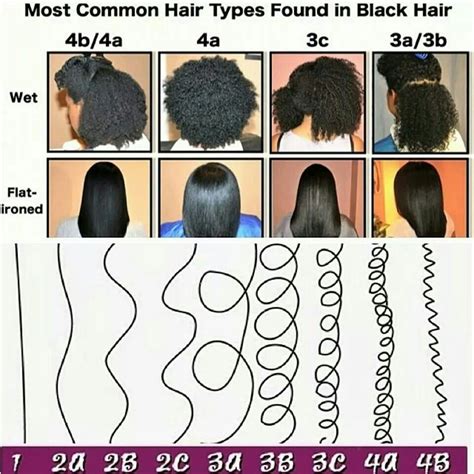 This domain is for use in illustrative examples in documents. Most common hair types in black hair | Hair type, Curly ...