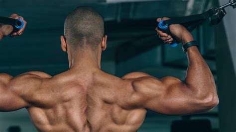 We did not find results for: Back Exercises - Work Upper & Lower Back | Muscle & Fitness