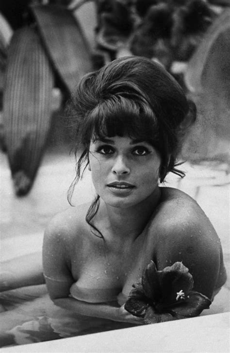 Find the perfect senta berger stock photos and editorial news pictures from getty images. Picture of Senta Berger