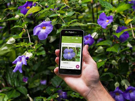 It claims to have over 20,000 this app has information about more than 6000 kinds of plants and keeps adding more every day. Innovation & Biodiversité : L'application de ...