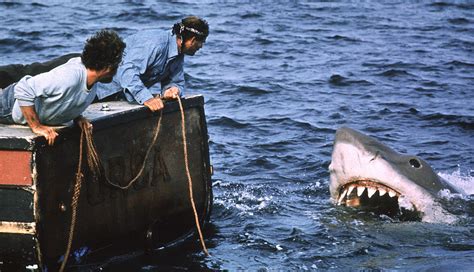 A new england police chief (roy scheider), a shark hunter (robert shaw) and a scientist (richard dreyfuss) have a showdown with a huge white. 'Jaws' Trivia: 20 Facts You Might Not Know About the Movie