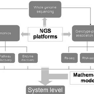 Successful sequencing requires high quality library construction of sufficient yield, where the workflow depends on the ngs application. (PDF) Next-generation sequencing and its potential impact ...