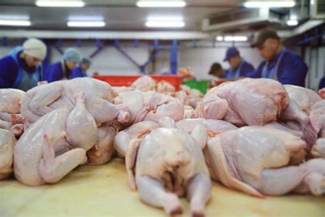 From our pet hospitals to farmers in our supply chain, new tales are unfolding every day. Salmonella outbreak linked to raw chicken pet food | 2018 ...
