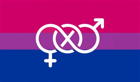 Business intelligence (bi) is an umbrella term for the technology that enables data preparation, data mining, data management, and data visualization. Bi-Pride Symbol Flag | Rainbow Flags