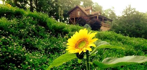 Booking.com has been visited by 1m+ users in the past month Eureka Springs Cabin Rentals in the Arkansas Ozarks with ...