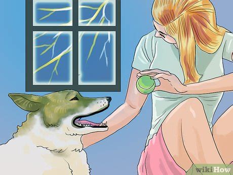 Soothe your dog with toys and puzzles chewing and puzzle toys can also help your dog during a thunderstorm. How to Calm a Dog During Thunderstorms: 12 Steps (with ...