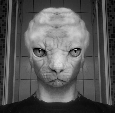 The meaning of colo is not known to us. Katzen-Mensch Foto & Bild | fotokunst, color fine art ...