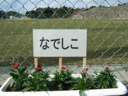 しかし、それは冒険の始まりに過ぎなかった。 「もう無理。 こんな危険な仕事やめたい。 ゲロ吐きそう」 「おう、わかった。 つまり俺達が強くなってお前の分まで戦えばいいんだな、いいハンデだ」 「安心してね. 陶芸アトリエ高瀬川 「なでしこジャパンの合宿」始まる ...