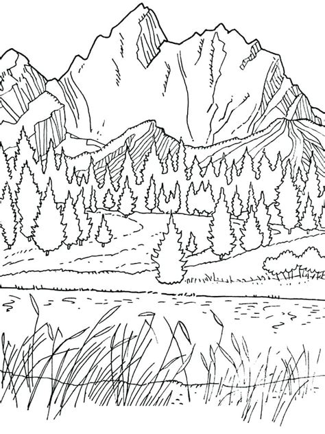 The free printable lion coloring pages given in the website depict the same in various looks. Mountain Lion Coloring Pages at GetColorings.com | Free ...