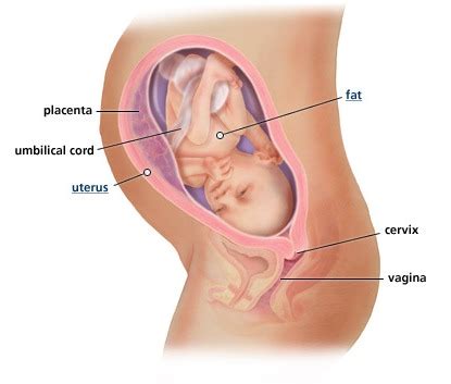 Image via berita harian online. Baiti Jannati: Baby dah berkedudukan normal 37 minggu