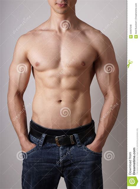 This muscle connects the humerus to the radius at the styloid process. Muscular male torso stock photo. Image of muscles, male ...