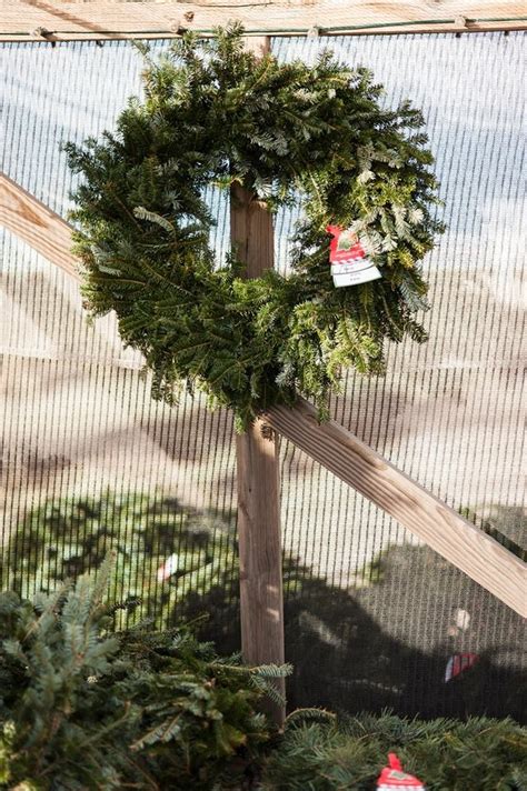 Welcome to elgin's original tree farm. Heidrich's Colorado Tree Farm Nursery LLC christmas tree ...