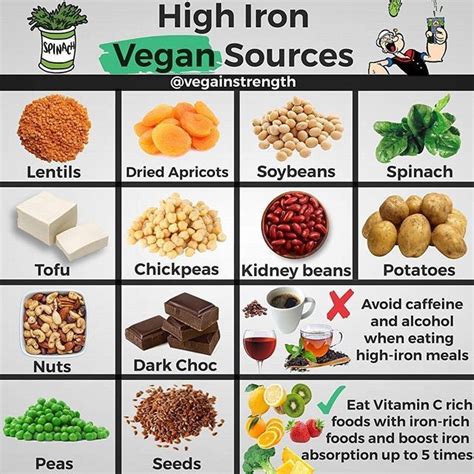Iron Rich Vegetarian Recipes For Anemia | Deporecipe.co