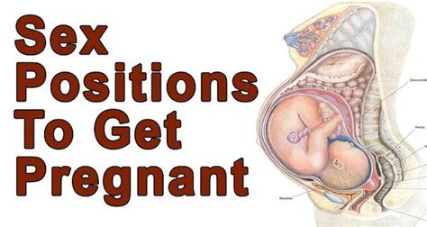 How to get pregnant with twins is dependent upon your tendency of producing. This article present 10 tips which will help you get ...