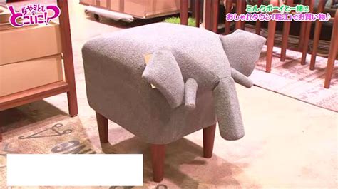 We offer only the highest quality in candles, incense, diffusers, and more. やすとものどこいこ!？ | これまでの放送 2020年11月29日(日) | TVO ...
