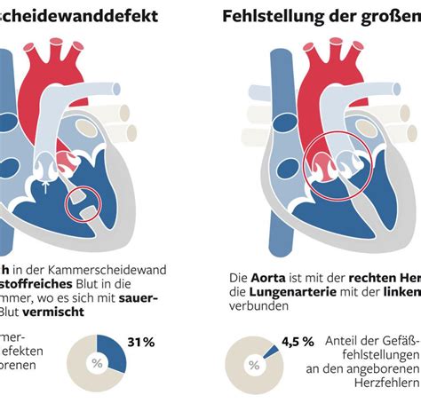 The mrna vaccines (pfizer and moderna) are kind of brilliant at a science level. Jennifer Scherman: Auch junge Menschen können einen ...