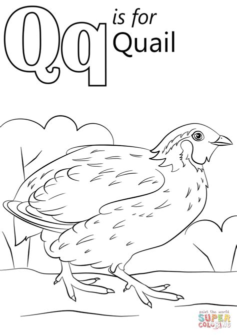 Free printable coloring pages apart from the individual letter worksheets, we will also provide with two additional kindergarten & preschool worksheets. Letter Q Coloring Pages at GetColorings.com | Free ...