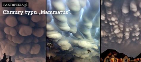 The mammatus jest terminem meteorologiczne biorąc pod uwagę szczególną formą chmury, w przypadku gdy rodzaj włosów wygląda wisi z chmur. Chmury typu "Mammatus".