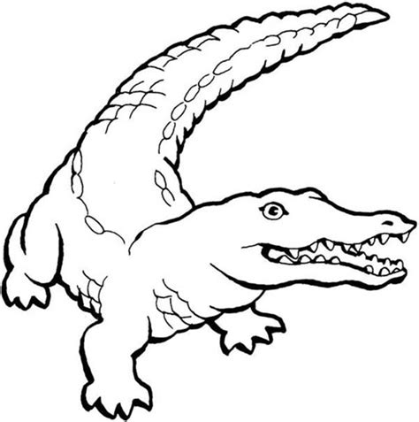 We did not find results for: Aggresive Animal Crocodile Coloring Page : Coloring Sun