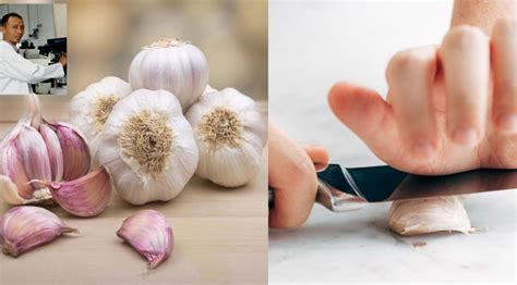 Makan bawang putih lebih dari satu siung per hari mungkin bisa memperparah kondisi orang yang punya gangguan pencernaan parah. Doktor Ini Pesan Ketuk Dulu Bawang Putih & Tunggu 10 Minit ...