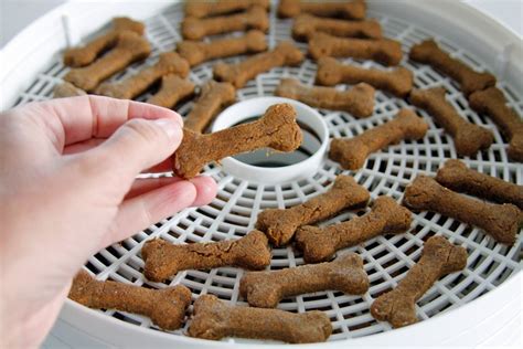 In this npr article, veterinarians explain how often pet owners forget to account for the caloric intake from dog treats, and end up with an obese pet in the end. Low Calorie Dog Treat Recipes : 15 Homemade Holiday Dog Treat Recipes Puppy Leaks / Deliciously ...