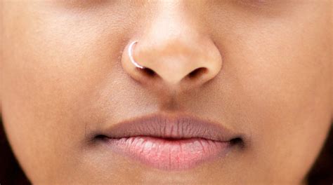 Your nose is the part of your face which sticks out above your mouth. Human nose — Science Learning Hub