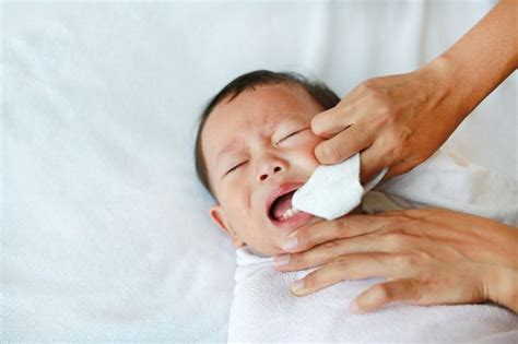 Prepare warm water in a bowl. Mother Use Finger To Clean Tongue And Baby's Teeth With ...