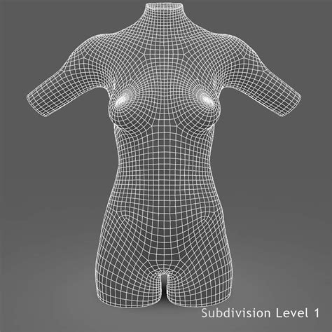 Check spelling or type a new query. African American Female Torso Anatomy 3D Model