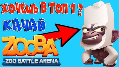 Battle royale ve moba türlerinden parçalar bulabileceğimiz bu yapımda 10'dan fazla farklı karakter arasında seçinizi yaparak. Как взять топ 1 в Zooba:Zoo Battle Arena / Zooba: Битва животных - YouTube