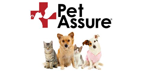 Make sure to get a quote and compare prices with several pet insurance companies before you decide. Pet Assure Review - 365 Pet Insurance