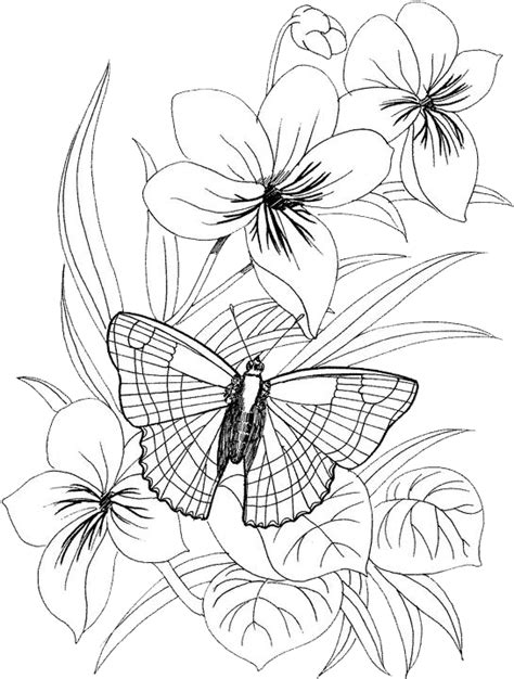 Free simple butterfly printable for kids. Butterfly Coloring Pages 38 | Printable flower coloring ...