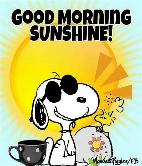 'sunshine' is used as a friendly form of address to someone you like or who is always upbeat and. Snoopy Good Morning Sunshine Quote Pictures, Photos, and ...