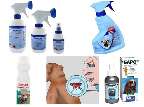 Dafür ist das chemische flohspray aber bestens für die wohnung und zur tötung der flöhe im umfeld des wirtes geeignet. Flea Dog Sprays: Wirksame Mittel Review und Testimonials